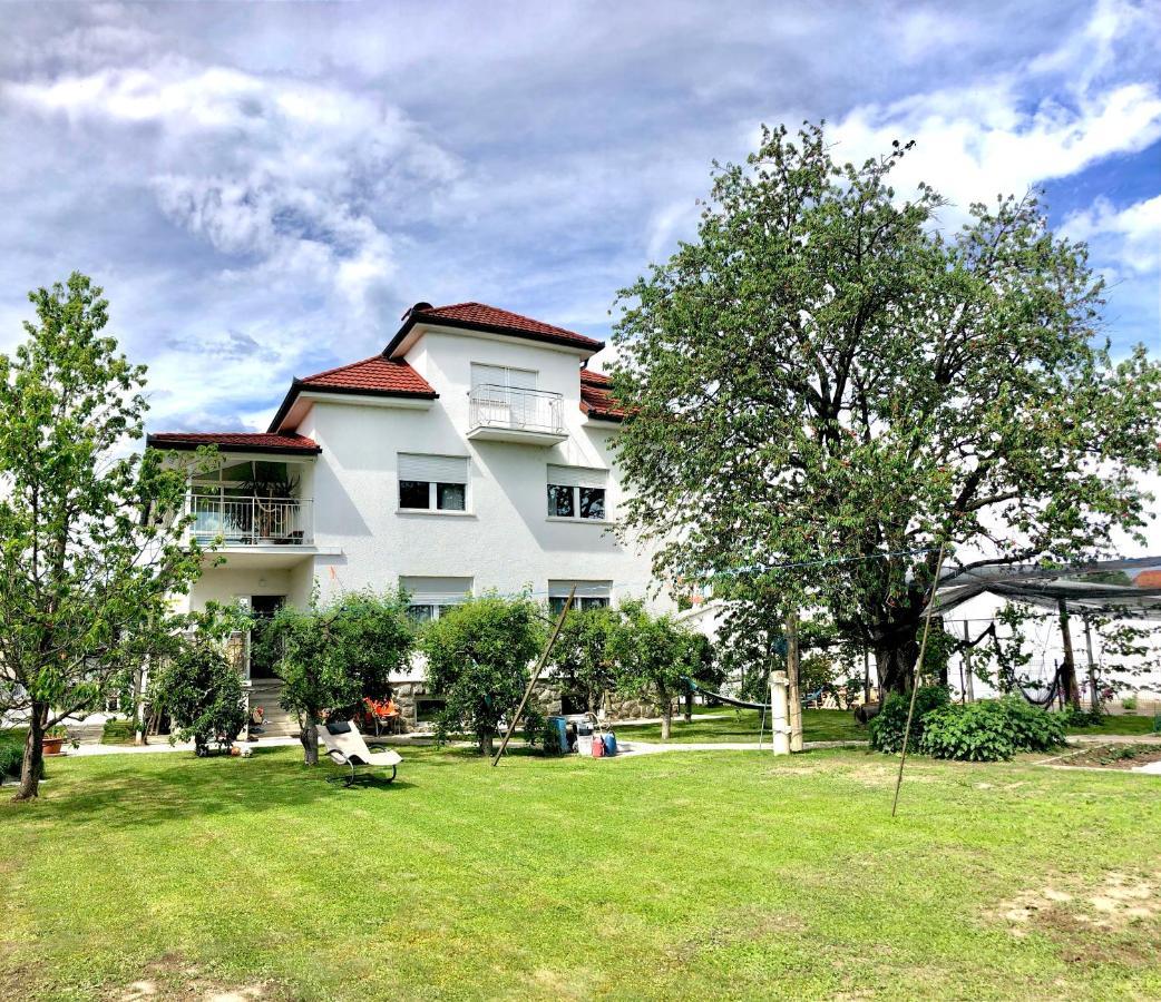 Apartments Andrej Ptuj Eksteriør billede